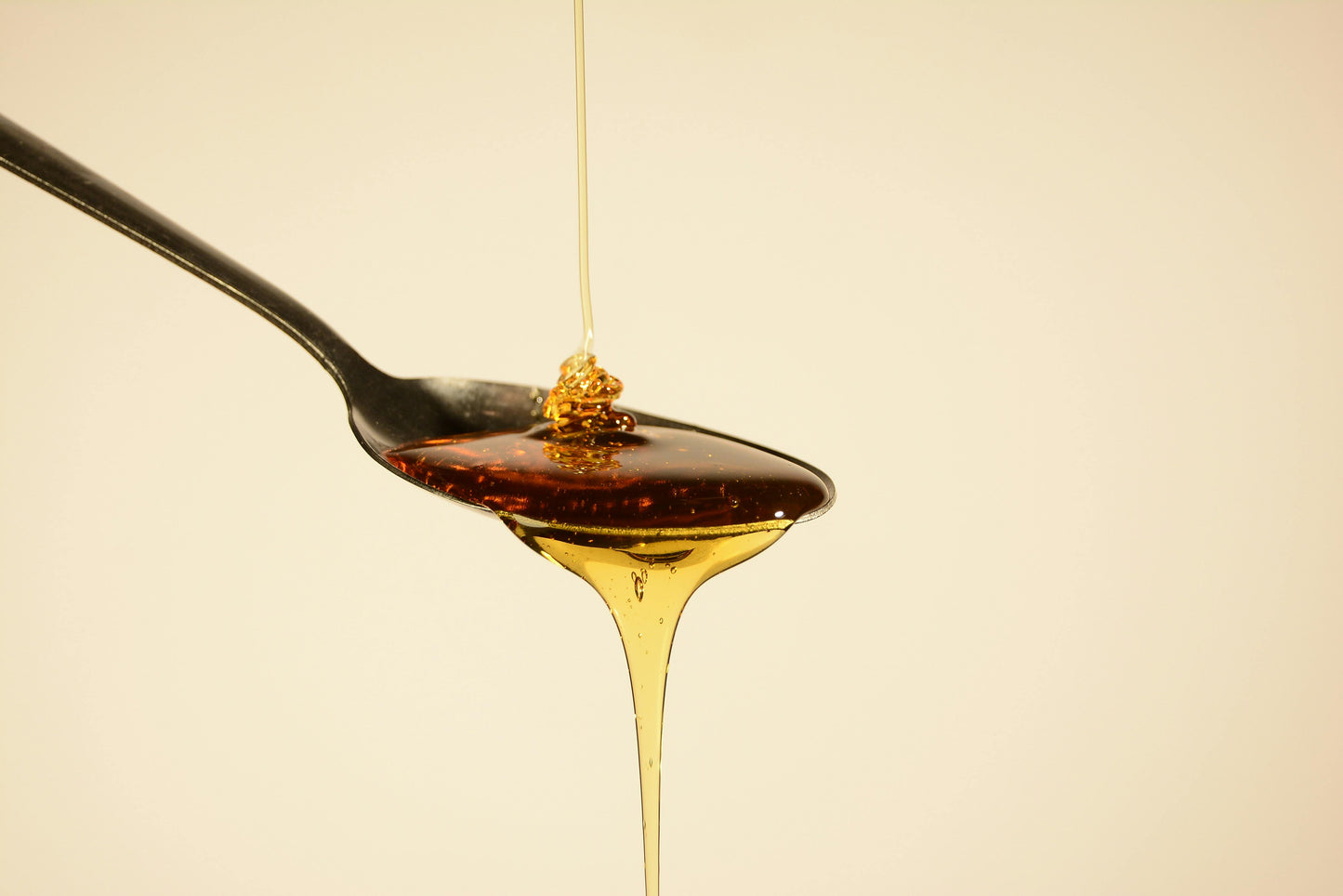 Forest honey from our own beekeeping | 500g glass | German honey