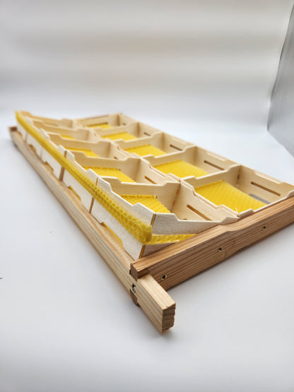 Honeycomb frames with special external dimensions suitable for insertion into Zander frames