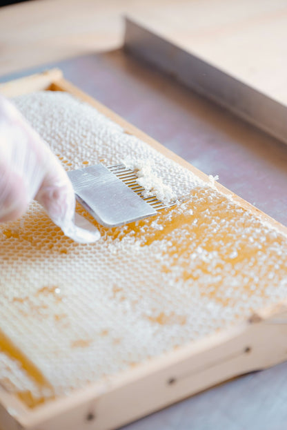 Akazienhonig 10 kg Eimer – Premiumqualität für Großverbraucher & Genießer - Imkerei B&J