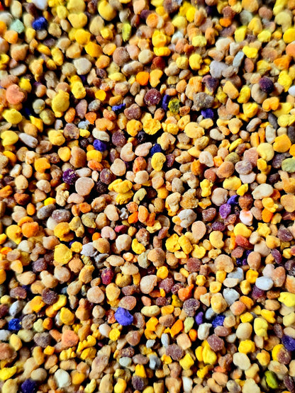 Blütenpollen aus Deutschland · bunt - Imkerei B&J
