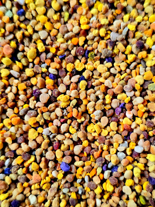 Blütenpollen aus Deutschland · bunt - Imkerei B&J