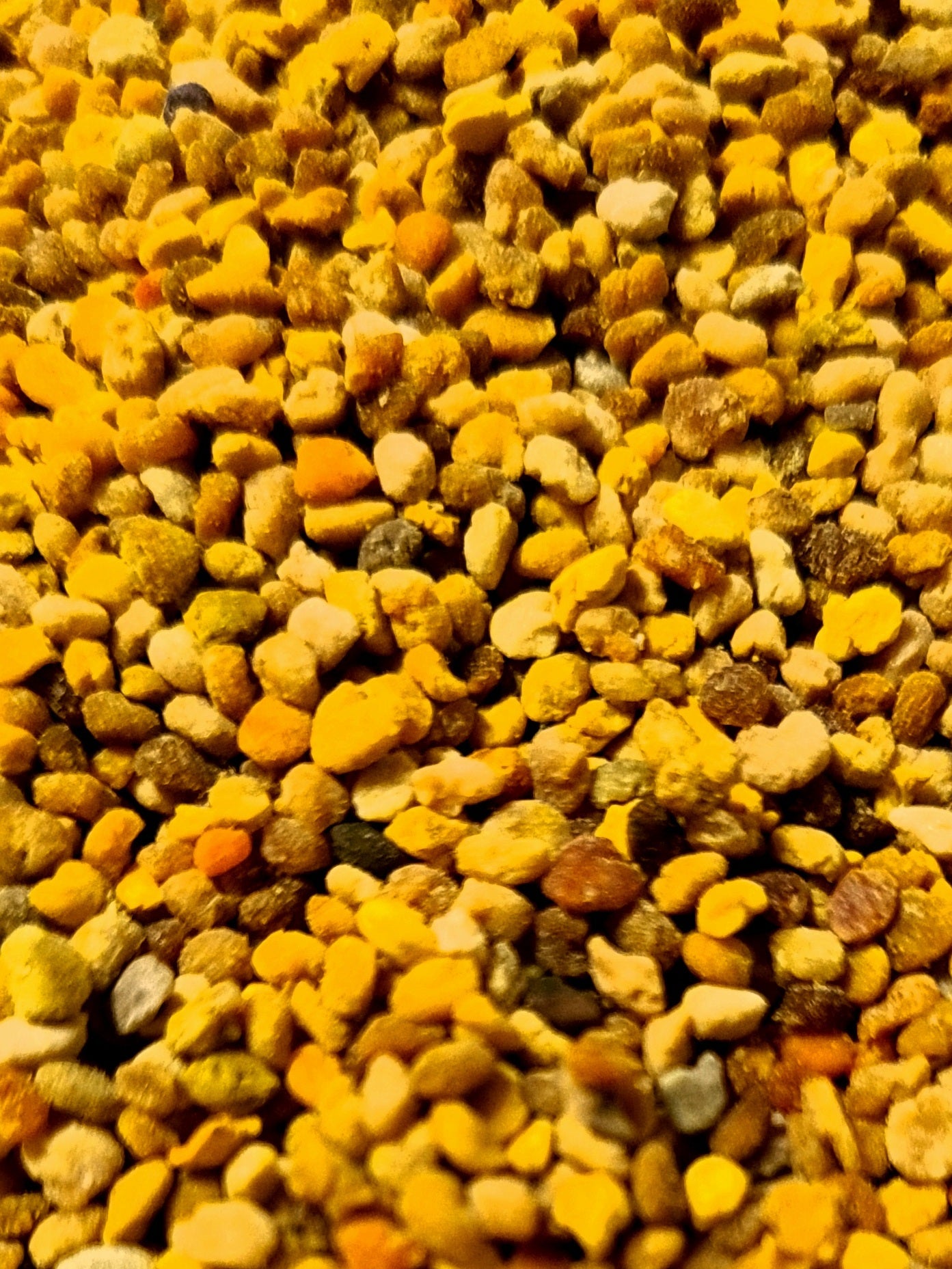 Blütenpollen 1kg aus Deutschland – naturrein, nährstoffreich & ideal für den Vorrat - Imkerei B&J