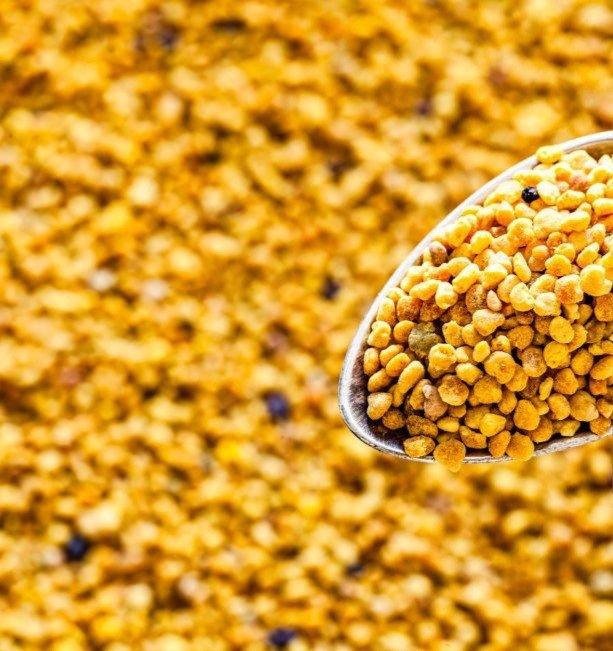 Blütenpollen 5 kg naturrein – luftgetrocknet & vitaminreich - Imkerei B&J