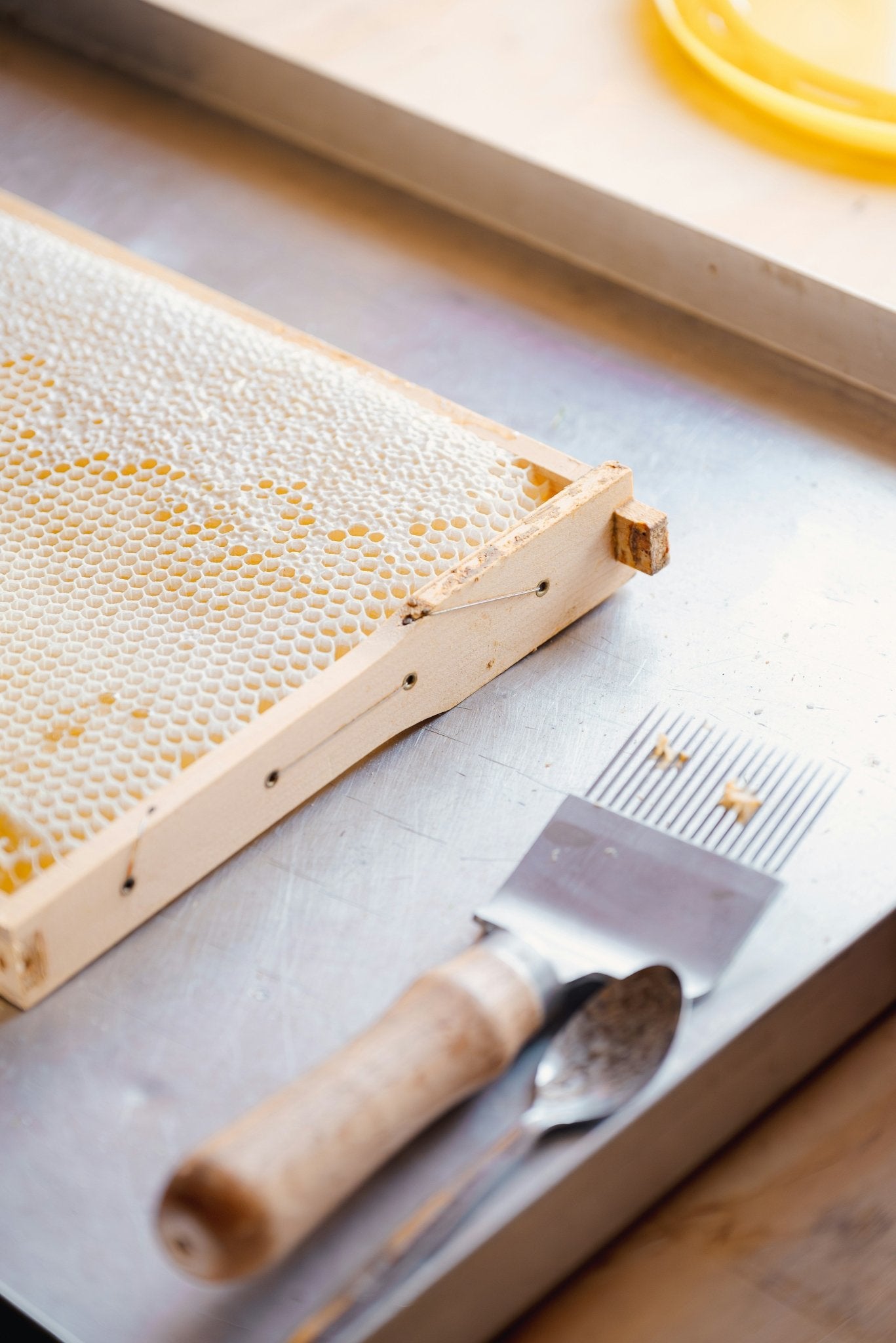 Deutsches Honig - Set – 3 Sorten im Probierpaket - Imkerei B&J